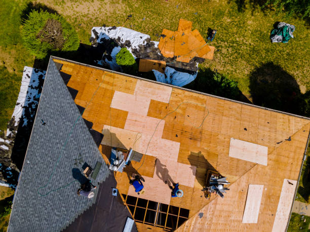 Best Flat Roof Repair Services  in Hamburg, PA