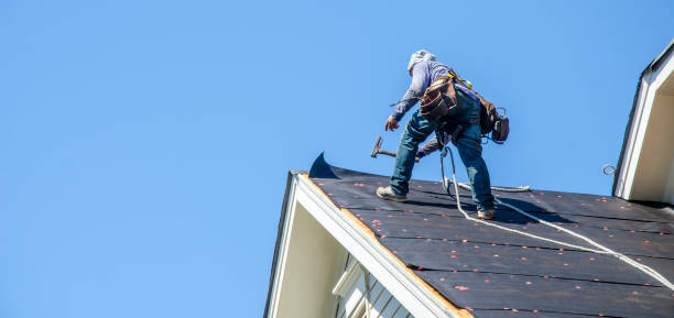 Best Storm Damage Roof Repair  in Hamburg, PA